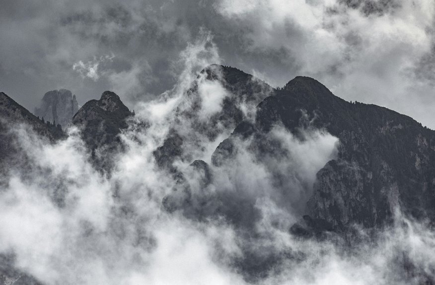 dense fog travel advisory