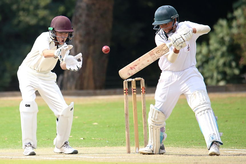 phoebe litchfield cricket updates