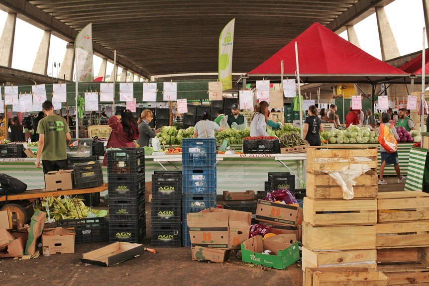 market activity insights report