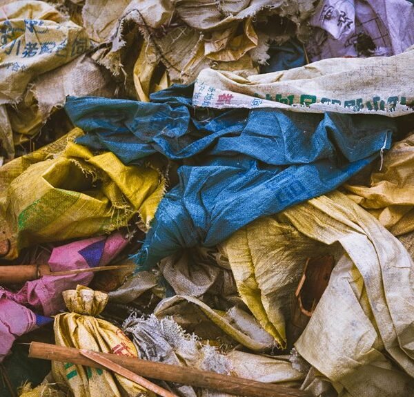 textile recycling industry trends